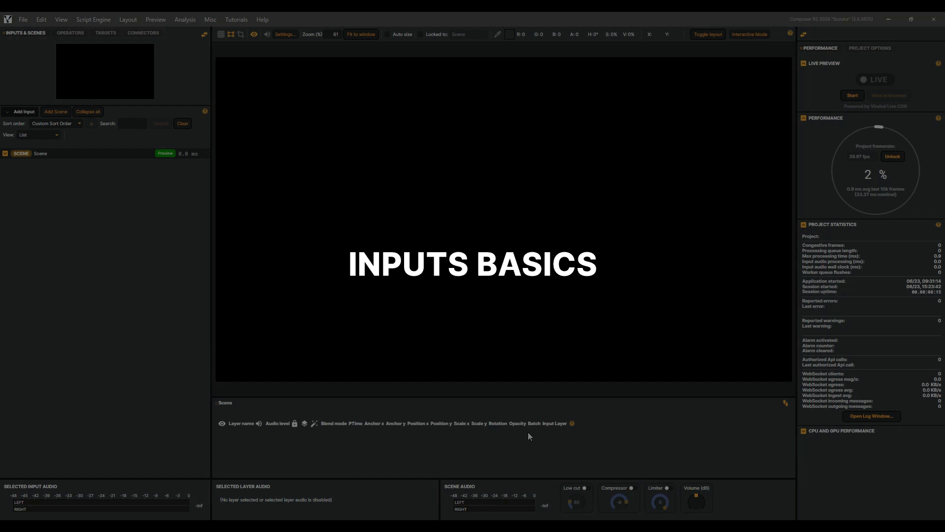 Inputs basics