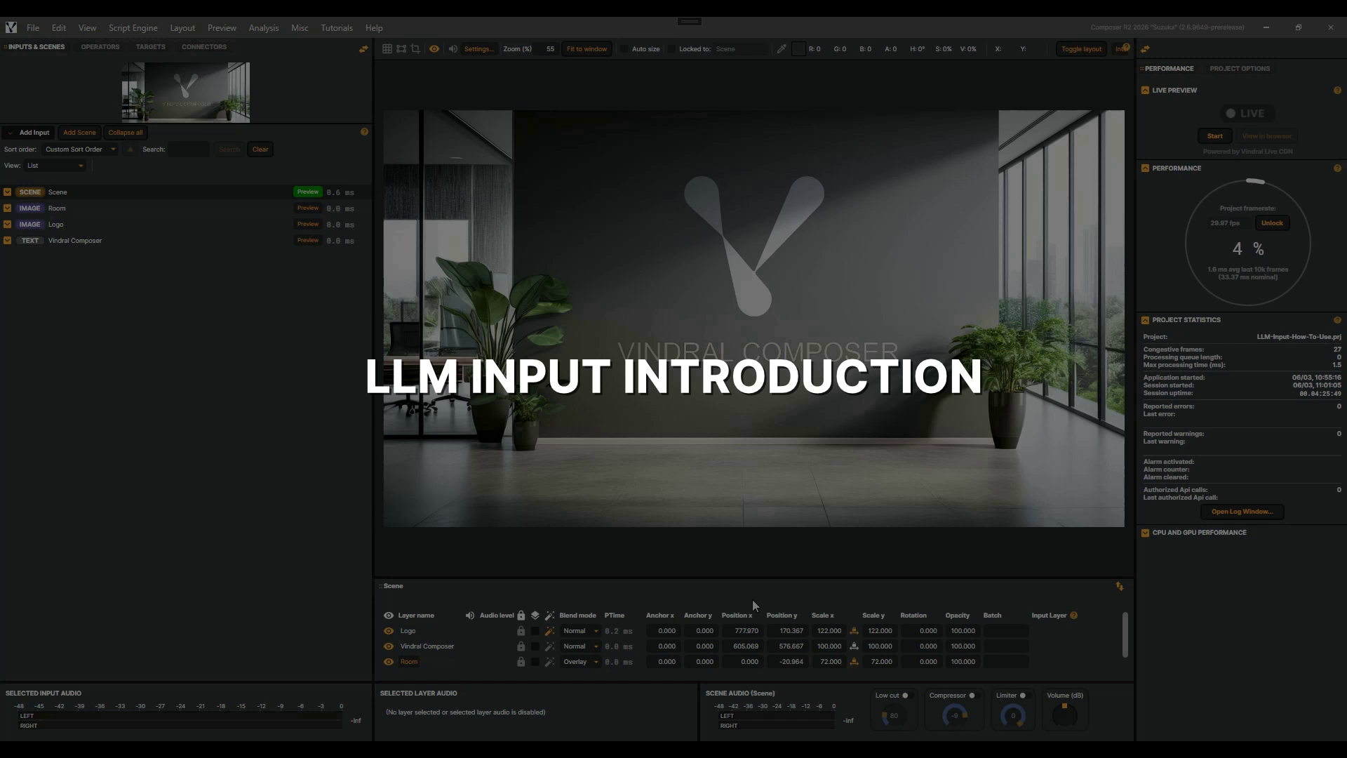 LLM Input