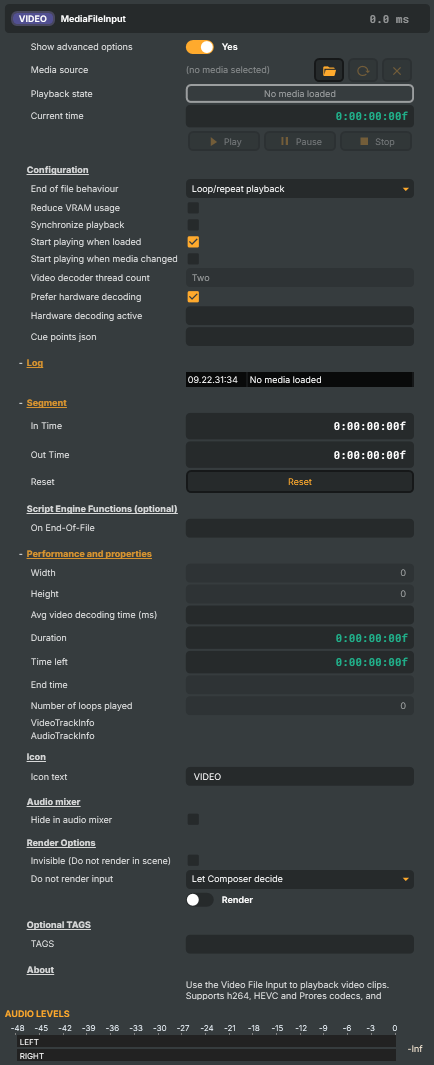 Video File Input