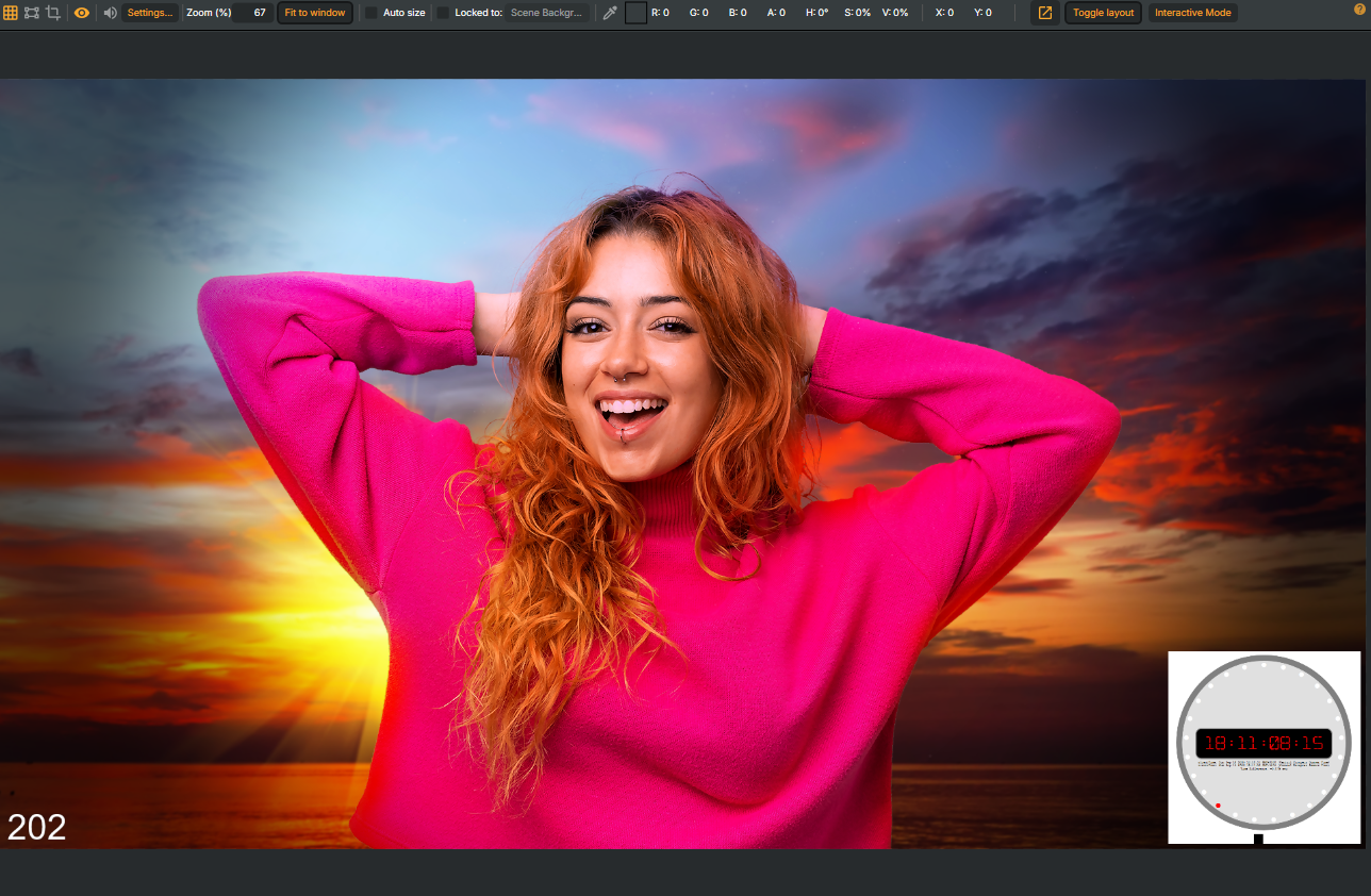 Scene preview window