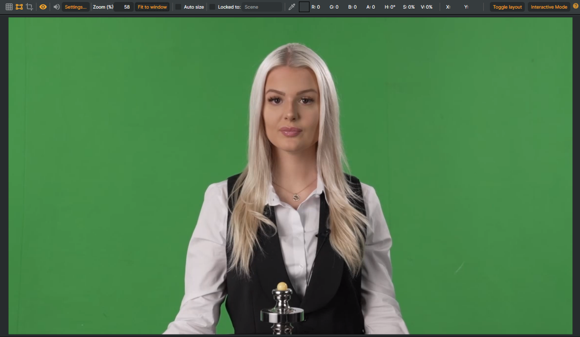 Scene preview window