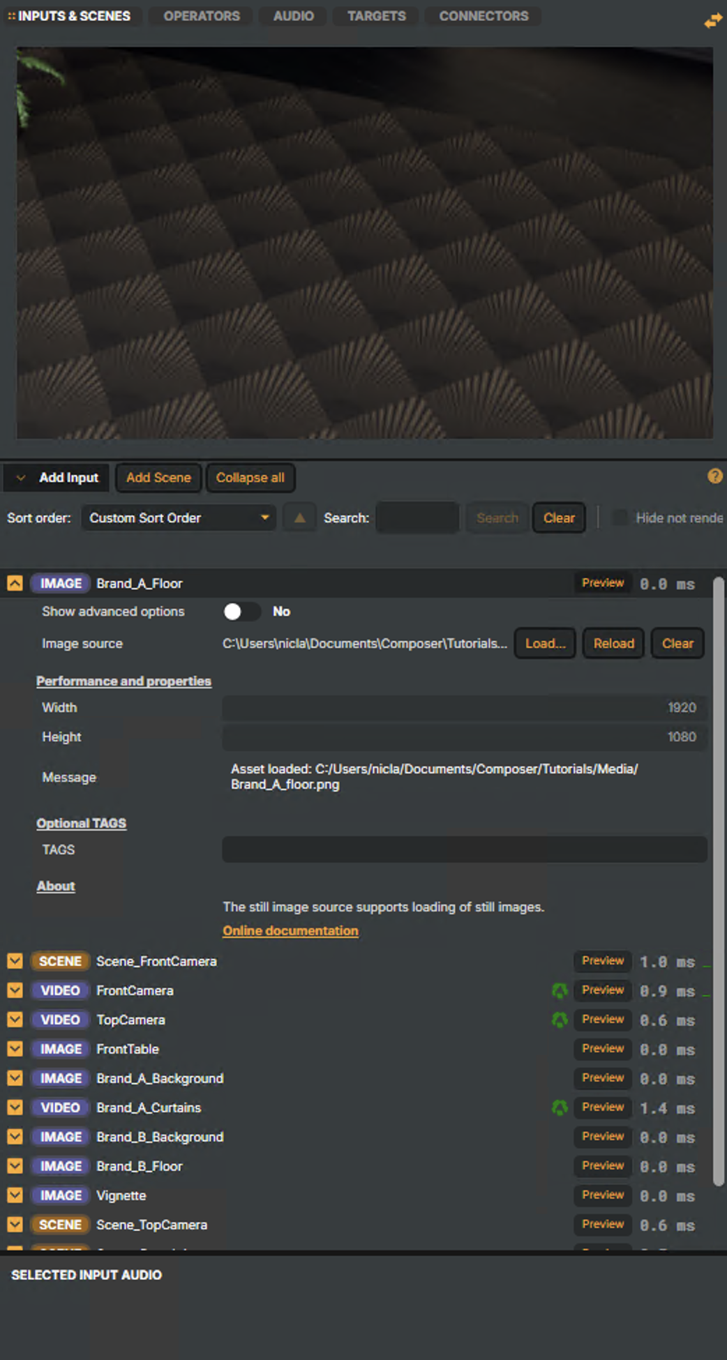 Detail view of the Inputs & Scenes tab — a list of inputs ready to be expanded for editing